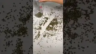 Technology For Cleaning 👌 