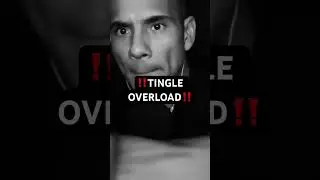 ‼️ Tingle Overload ‼️ 