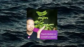 #16 - Why a Growth Mindset for UX Designers is Essential?