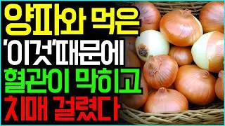양파의 숨겨진 효능 대공개! 함께 먹으면 보약이 되는 3가지 음식과 건강에 치명적인 독이 되는 조합. 항암식품 건강음식 양파효능 오메가3 당뇨음식 혈당 혈관청소음식 노년기 건강