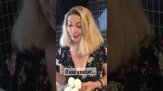 ПАПА УХОДИТ🤣