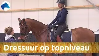Dressuur op Grand Prix-niveau  | NH Bokt TV