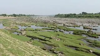 mahi river #pratapgarh
