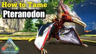 How to Tame Pteranodon in ARK Survival Evolved | ARK Beginners Guide