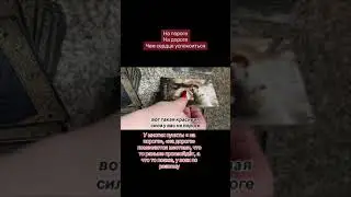 На пороге! На дороге! Чем сердце успокоится!