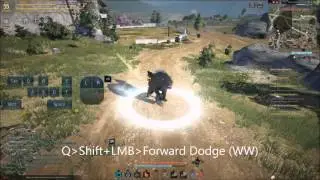 Black Desert Online: Tamer-Advance Animation Cancel Combos/Void Travel