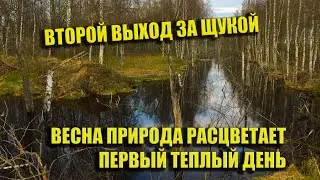 Рыбалка на спиннинг//ловлю щуку в лесу