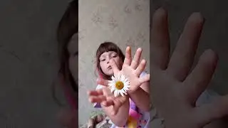 24 июня 2023 г.