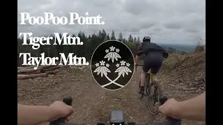 A lil PooPoo Tiger Taylor Gravel Grinding - We found an unattended horse.