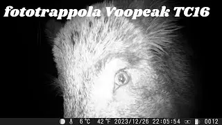 Voopeak TC16 solar camera trap: advantages and disadvantages of this mid-range model