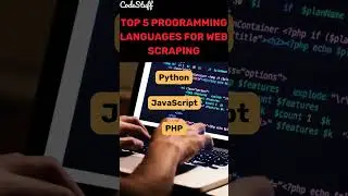 Top 5 Programming Languages for Web Scraping 