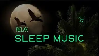 Relaxing Sleep Music/Stress Relief Music/This Music Will Calm You And Your Nerves