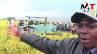 SEE HOW GOVERNOR TUNAI PLANE CRASHED IN NAROK, HE AND OTHERS ESCAPES DEATH NARROWLY!!