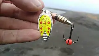 Горбуша не даёт расслабиться.