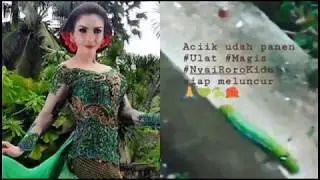 Pamer Panen Ulat Nyai Roro Kidul,Roro Fitria Dibilang Aneh Netizen, Itu Ulet Daun Nyai