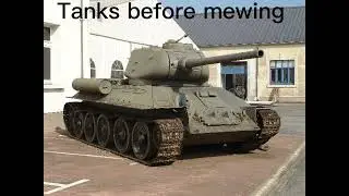 Tanks before & after mewing #funny #memes #mewing #tanks #meme #gigachad #sigma