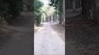 Caminho da Felicidade