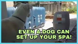 Coleman SaluSpa Inflatable Hot Tub Complete Setup and Demo