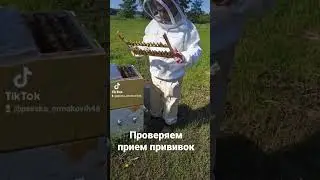 #пасекаермаковых