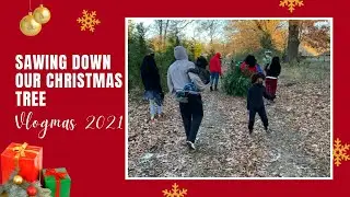 We Cut The Tree Life Short || Vlogmas 2021