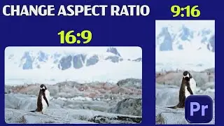 How To CHANGE ASPECT RATIO in Premiere Pro | Auto Resize