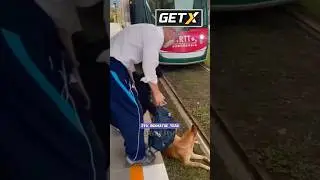 САМЫЙ НЕВОЗМУТИМЫЙ ПЁС!