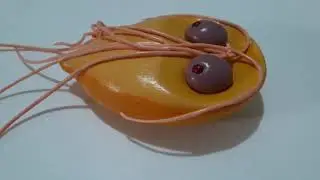 Giardia - Modelos Didáticos