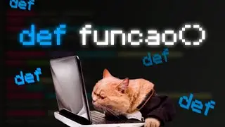 For those of you who never understood FUNCTIONS in PYTHON
