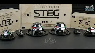 STEG MSS-KIT INTRODUCTION 4K (FNS)