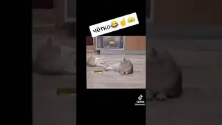 чётко😀