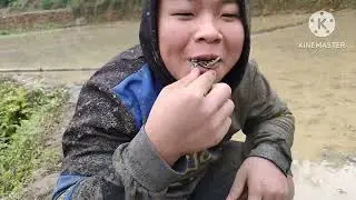 người ta đi cấy lấy công ,tôi đây đi cấy chỉ ngồi xem không