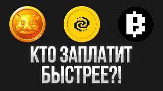 Эти АИРДРОПЫ близко! Сделай ЭТО, чтобы не пролететь мимо!