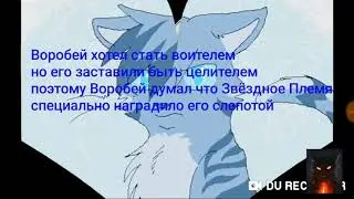 Коты воители| Факты про 