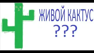 Сactus McCoy прохождение №1