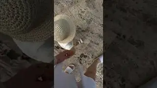 уже скучаете по лету?