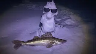 Н. М. Р.  2024 г. Глухозимье...  "Петрович"- уходи...😂