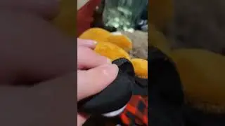 freddy tries the grimace shake