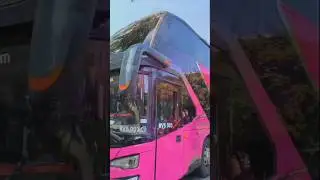 Bus tingkat double decker bersama pramugari pink #shortvideo #shorts #short #pramugaribus