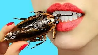 Extreme Asiatische Essens Herausforderung! / 13 Exotische Lustige Streiche!