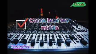 Instrumen cocok buat tes middle sound system
