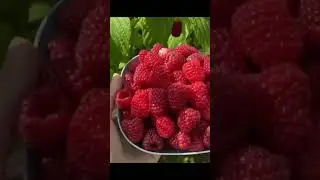 Группа Сентябрь — Уходит лето