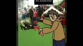 Сходка группы ПОХИМ  ( Undertale ) 😂