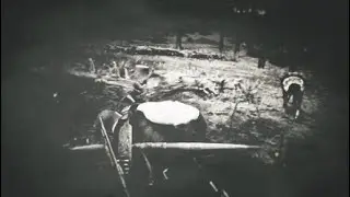 Red Dead Redemption 2 смерть от падения дерева