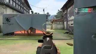 Precise gun play 