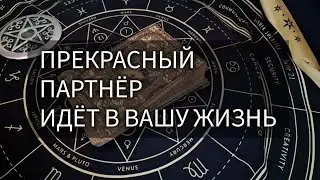 МУЖЧИНА ИДЕТ В ВАШУ ЖИЗНЬ