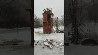 25 декабря 2023 г.