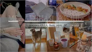 Медленная жизнь: новинки из ИКЕА🛍️, уют дома ✨💡 и ДР 2023 #cosyvlog #ikea