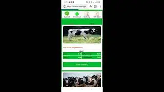 How to Cheapest Price Buy Power Bank Script | Cow Power Bank Script