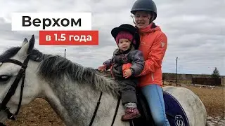 Верхом на лошади в 1.5 года