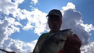 Нахимовское озеро. Рыбалка 09.08.24.